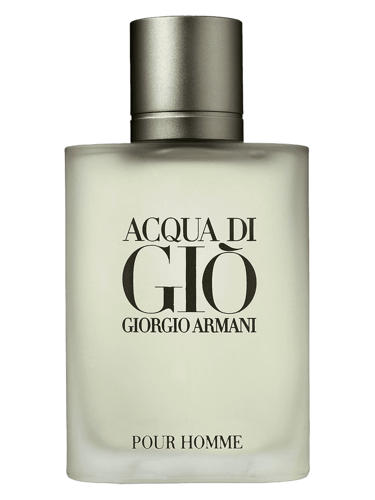 Giorgio Armani Acqua Di Gio EDT 100ml (Classic)